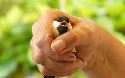 Qué es un ataque de pánico y cómo superarlo, responde la Psicóloga Lacace Pérsico