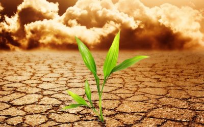 Resiliencia: cambiar la forma en que sentimos, modificando la manera en que pensamos